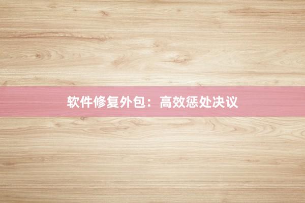 软件修复外包：高效惩处决议