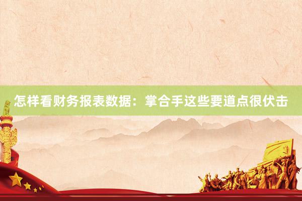 怎样看财务报表数据：掌合手这些要道点很伏击