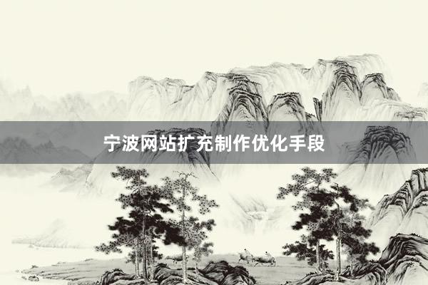 宁波网站扩充制作优化手段