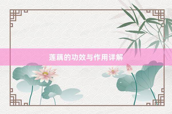 莲藕的功效与作用详解