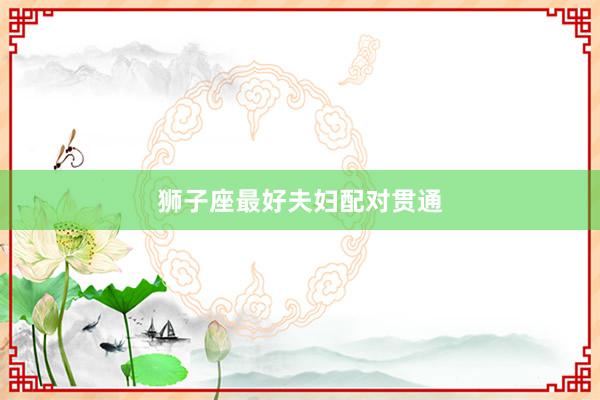 狮子座最好夫妇配对贯通