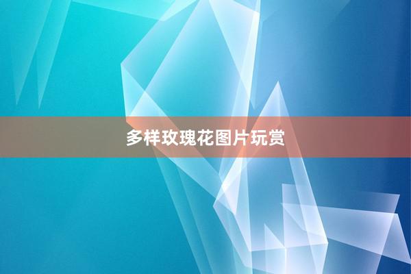 多样玫瑰花图片玩赏