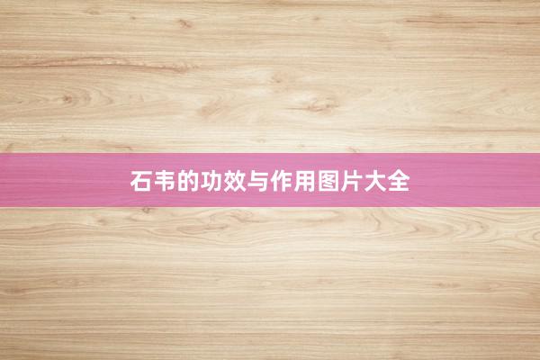 石韦的功效与作用图片大全